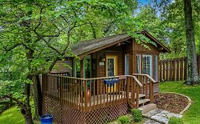 Cabins Woods